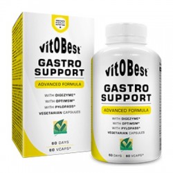 Gastro Support 60 caps- VitoBest.