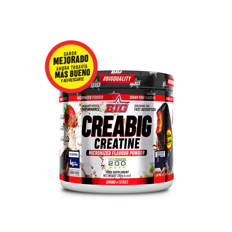 CreaBig 200mesh Creatina 250 grs - BIG